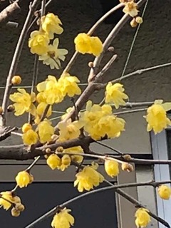 D99E855C-FFE2-4F38-BA1D-48F5350B0324.jpeg